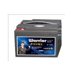 山东电瓶车电瓶批发 电瓶车电瓶供应 电瓶车电瓶厂家 