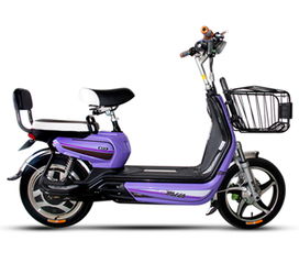 4月15号电动车将实施新规,你的电动车真的安全吗