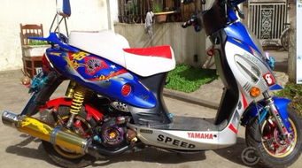 助力车的电瓶是多大的