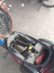 丢了电动车又丢电瓶 迁安一市民急寻线索