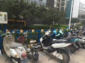 气温日渐回升,你掌握电动车的正确充电方式了吗