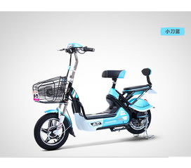 话梅a价格及图片 专卖店 参数 评论